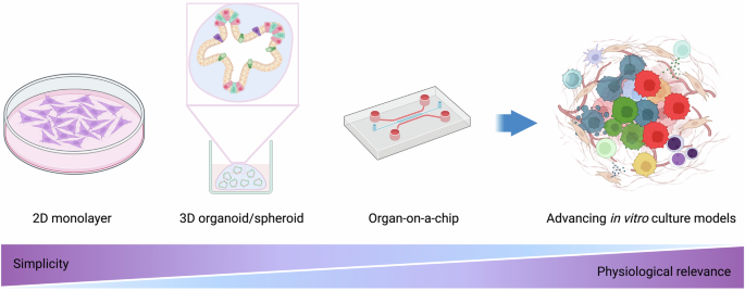 Fig. 2: In vitro cell culture models for studying cell competition.