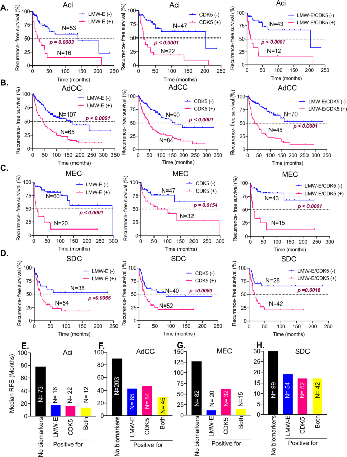 Fig. 6: High Cyclin E and CDK5 expression can predict recurrence in all subtypes of salivary gland tumors.
