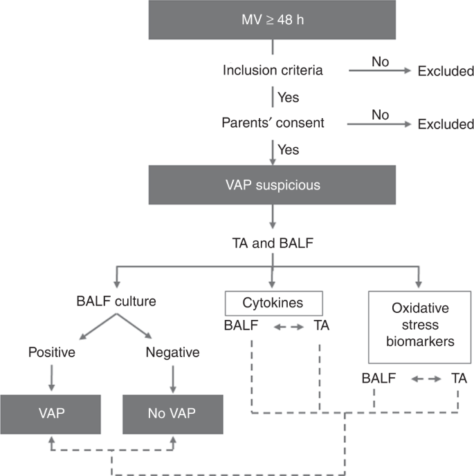 Early molecular markers of ventilator-associated pneumonia in  bronchoalveolar lavage in preterm infants | Pediatric Research