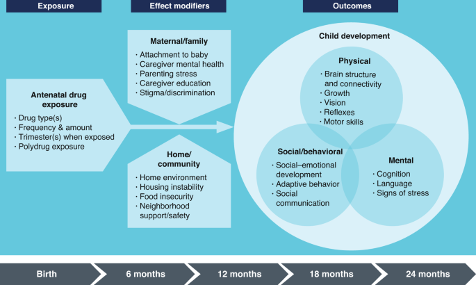 Fig. 2: Conceptual Framework of the ACT NOW OBOE Study.