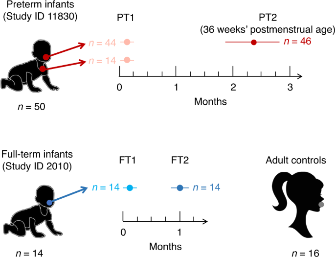 Fig. 1: Samples were collected from preterm infants, full-term neonates, and adults over time.