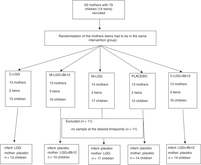Fig. 1: The progress of the study.