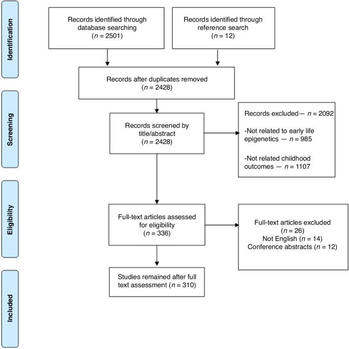 Early life and childhood a scoping review Pediatric Research