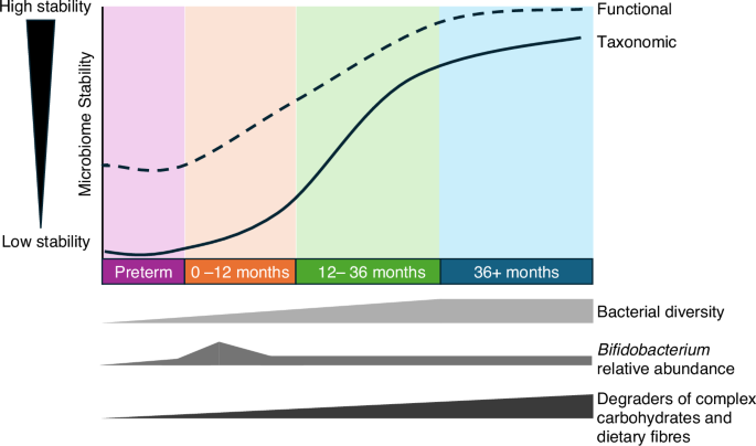 Neonatal microbiome in the multiomics era: development and its impact ...