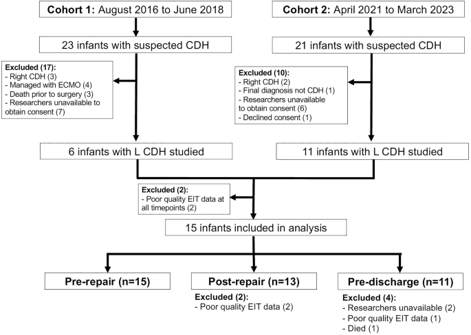 Fig. 2: Participant inclusion flowchart.