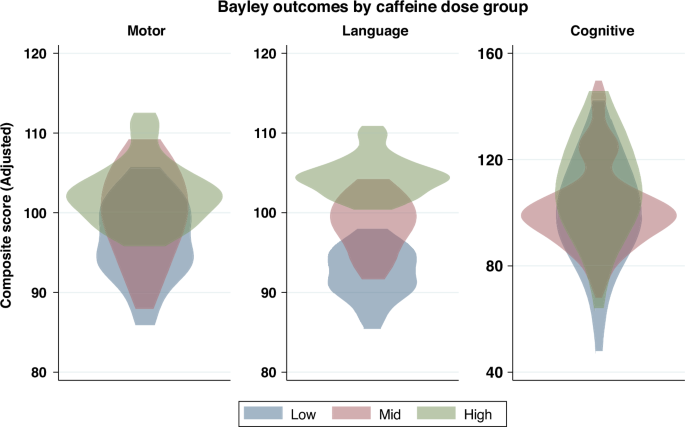 Fig. 2: Motor, language and cognitive performance on Bayley-III assessment at 30 months corrected age.