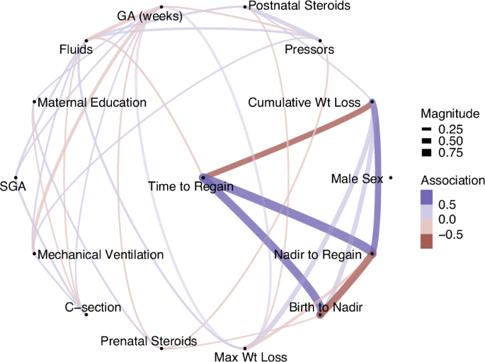 Fig. 1: Relationships between early predictors of time to regain birthweight (Time to Regain) including components of weight regain including: maximum weight loss percentage from birthweight, time from birth to weight loss nadir (birth to nadir), time from weight loss nadir to regain of birthweight (nadir to regain), and total cumulative weight loss (days of weight loss multiplied by daily percent weight loss from birthweight).