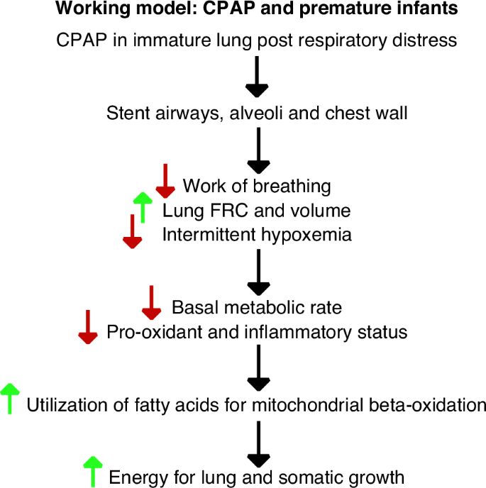 Fig. 5: Proposed model for observed effects of eCPAP.