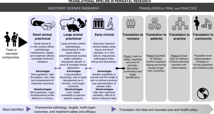 Fig. 1: Conceptualisation of the proposed Translational Pipeline in Perinatal Research.