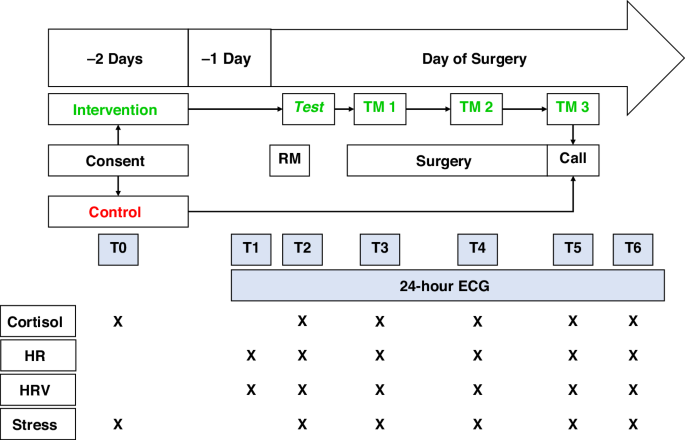 Fig. 1: Study protocol and sample recruitment.
