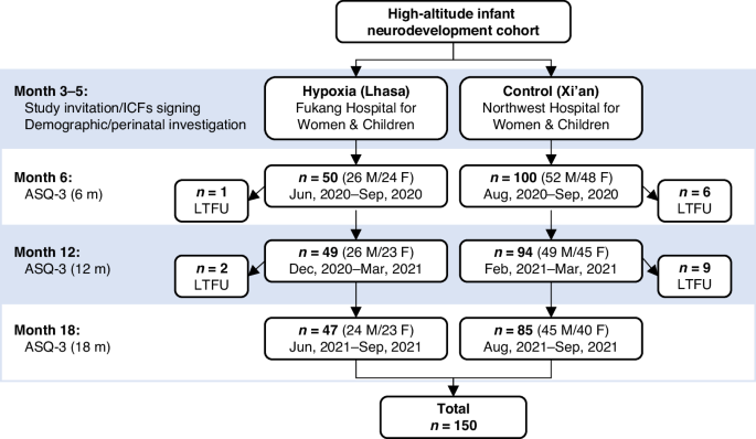 Fig. 1: Schematic diagram showing number of infants recruited and followed up.