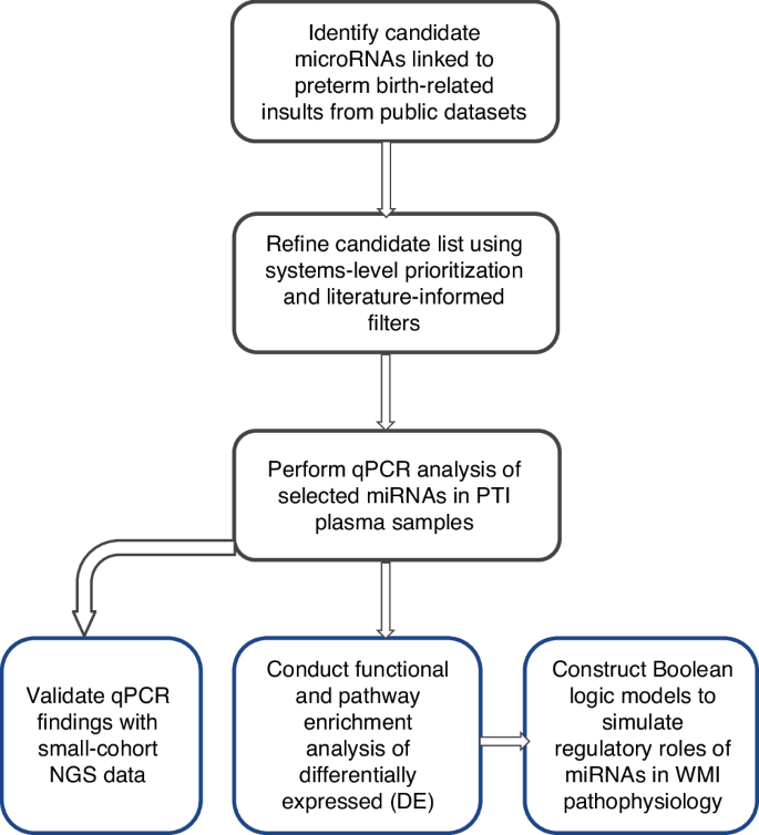 Fig. 1: Workflow of the hybrid discovery pipeline employed in this study.