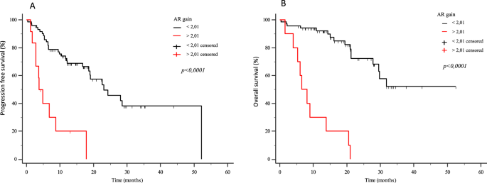 Fig. 1: Kaplan–Meier curves.