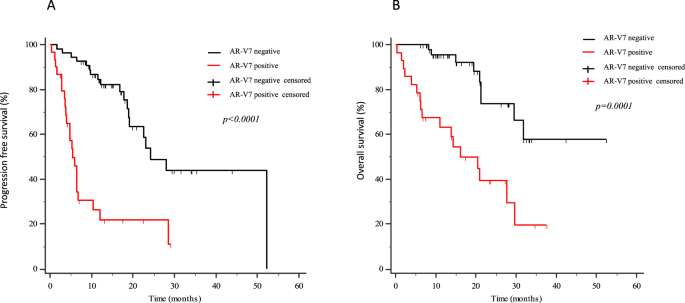 Fig. 2: Kaplan–Meier curves.