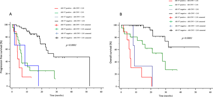 Fig. 4: Kaplan–Meier curves.
