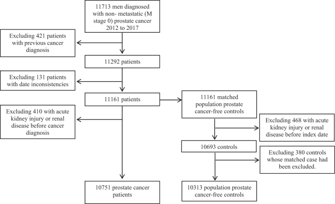Hormone Therapy Use And The Risk Of Acute Kidney Injury In Patients With Prostate Cancer A Population Based Cohort Study Prostate Cancer And Prostatic Diseases
