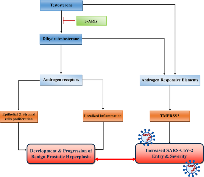 A prostatitis exacerbations okai