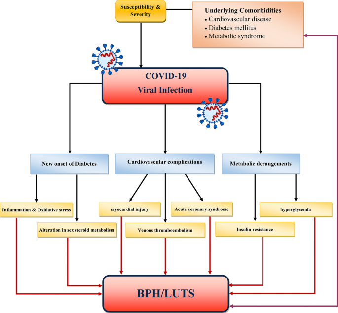 Prostatitis exacerbation