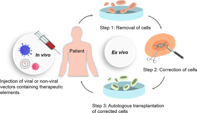 Modification genome Genome editing