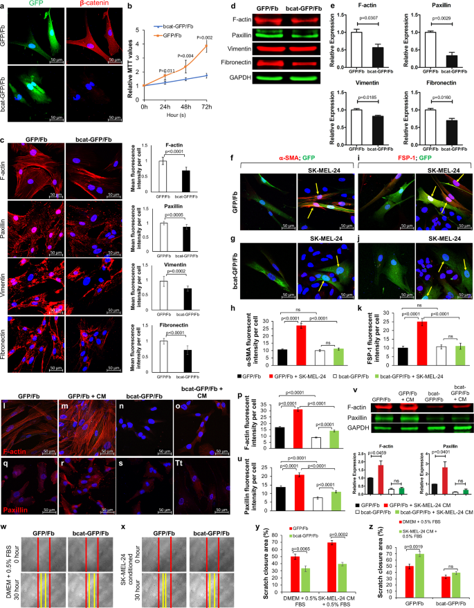 The B Catenin Yap Signaling Axis Is A Key Regulator Of Melanoma Associated Fibroblasts Signal Transduction And Targeted Therapy