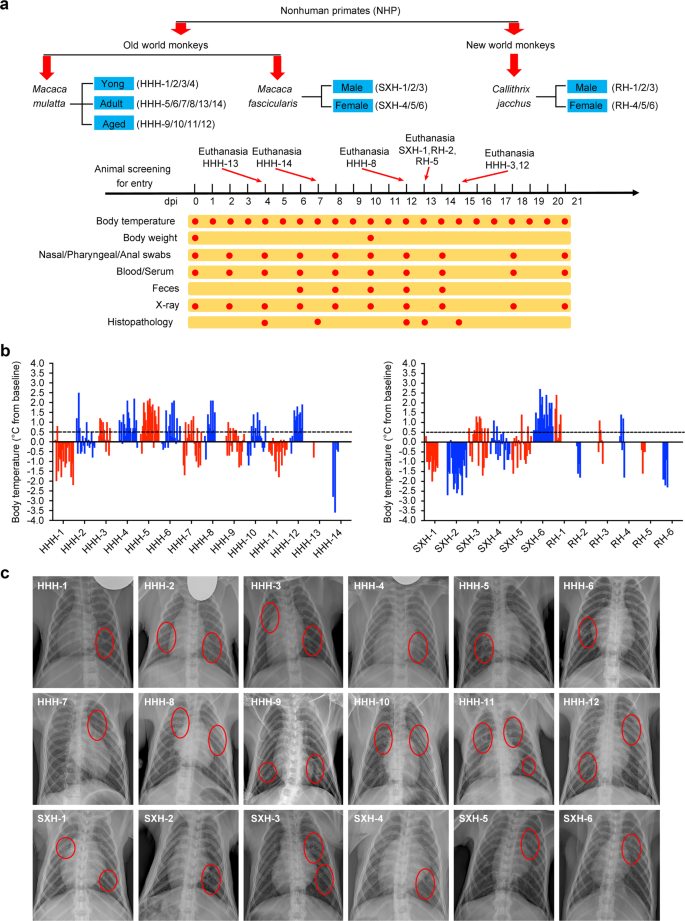 Comparison Of Nonhuman Primates Identified The Suitable Model For Covid 19 Signal Transduction And Targeted Therapy