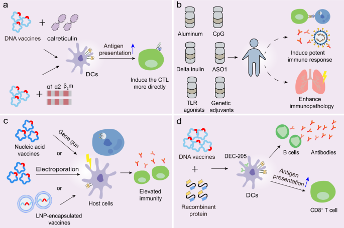A Systematic Review Of Sars Cov 2 Vaccine Candidates Signal Transduction And Targeted Therapy