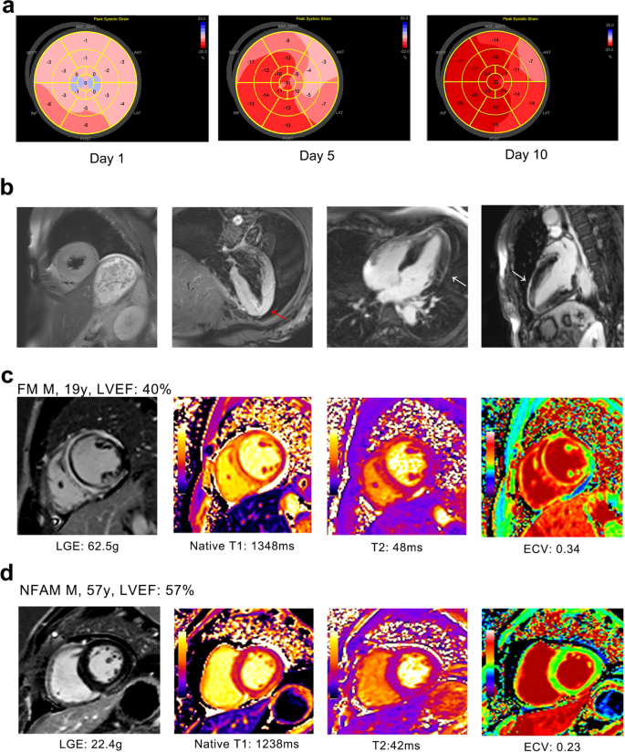 Fig. 4