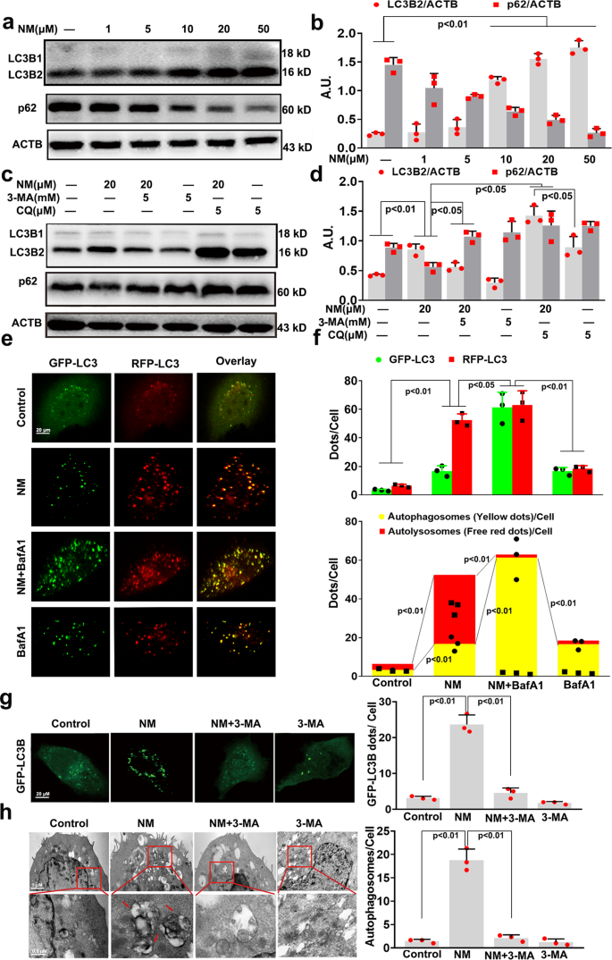 figure2