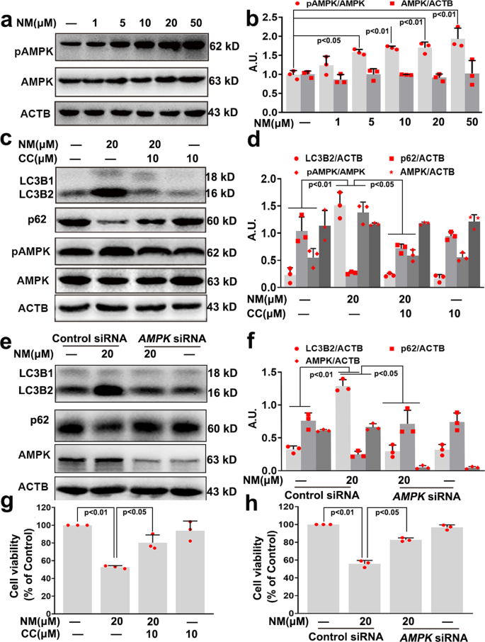 figure4