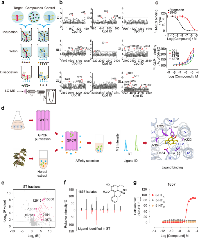 Illuminating the Path to Target GPCR Structures and Functions