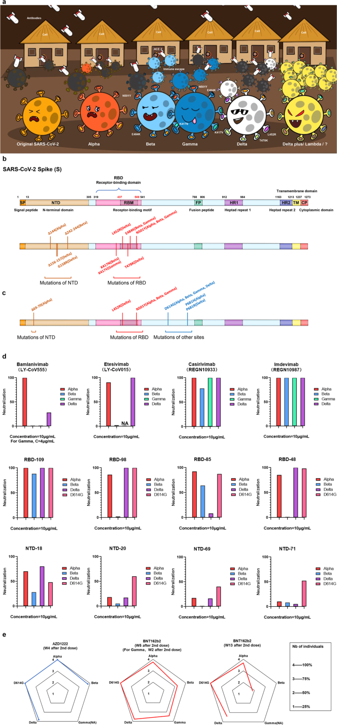 SARS-CoV-2 Variants of Concern Delta: a great challenge to and of COVID-19 | Signal Transduction and Targeted Therapy