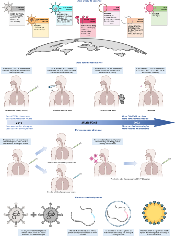 Applied and experimental bacterial vaccines. Today, established