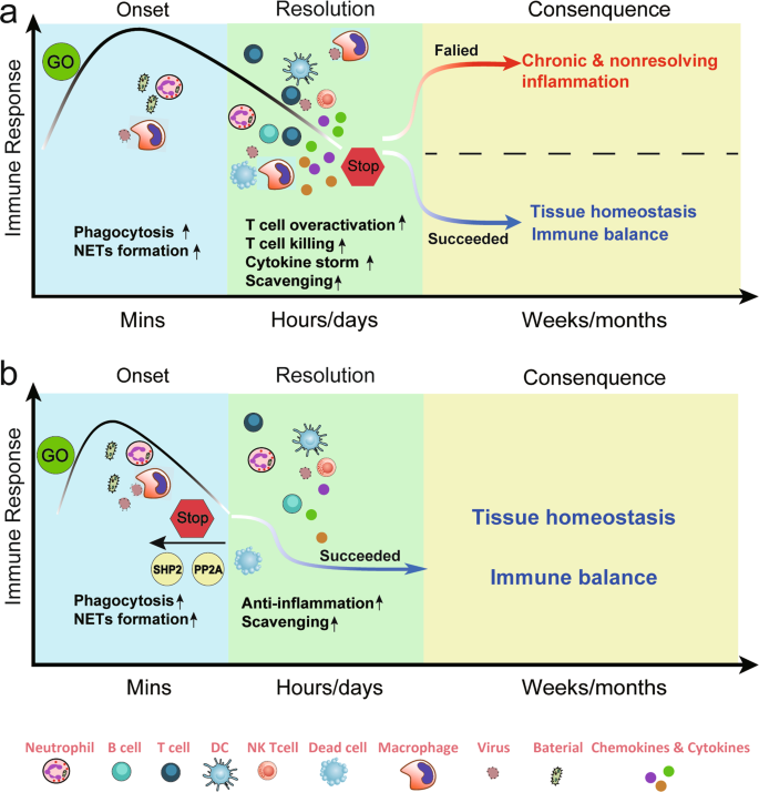 Strategies for Targeting Serine/Threonine Protein Phosphatases with Small  Molecules in Cancer