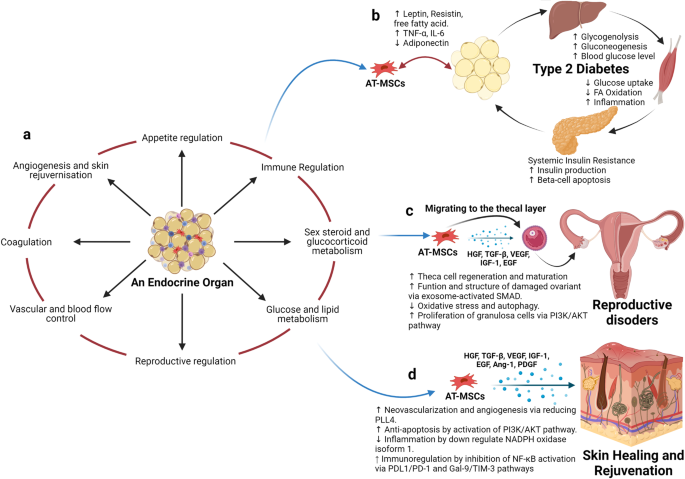 stem cell treatment scientific article figure 4