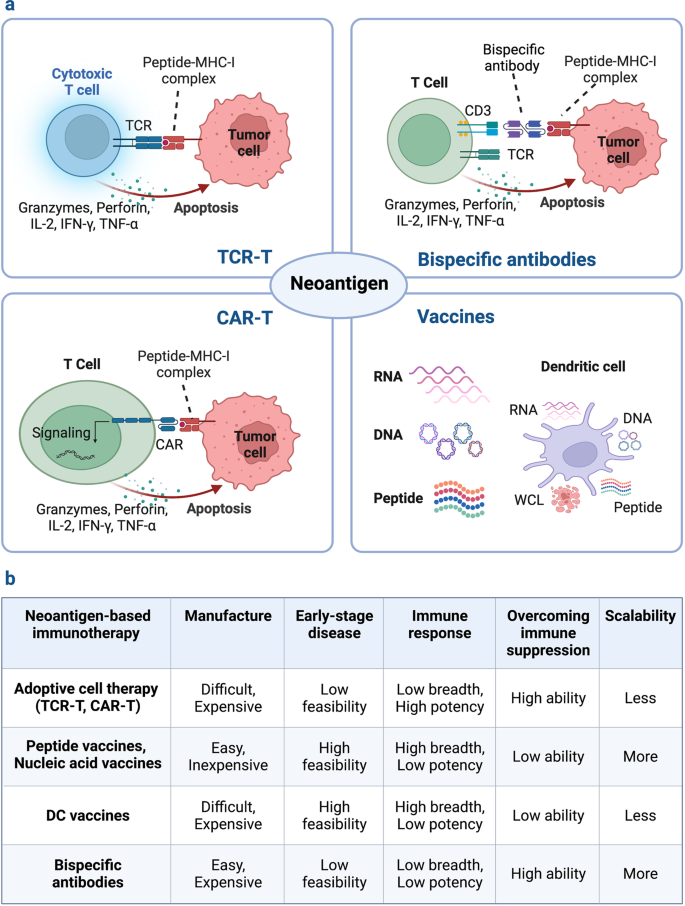 Identification of a novel peptide ligand for the cancer-specific receptor  mutation EGFRvIII using high-throughput sequencing of phage-selected  peptides