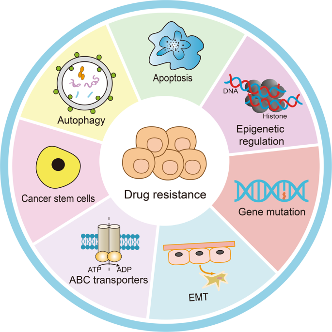 CLL Society Introduces the Protecting Innovation in Rare Cancers