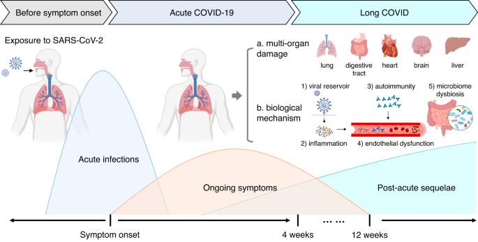 literature review of covid 19 research figure 1