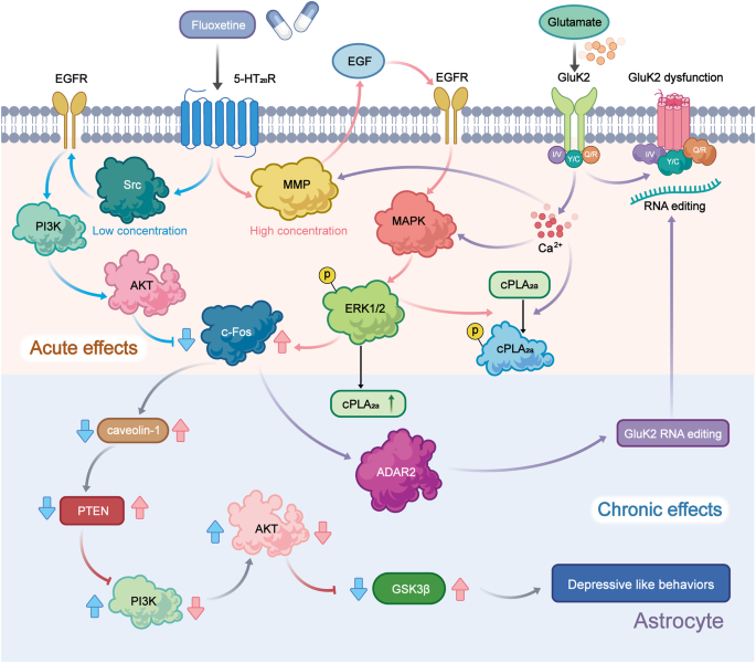 monoamine hypothesis journal figure 2