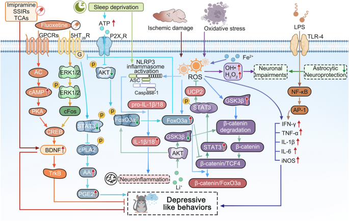monoamine hypothesis journal figure 3