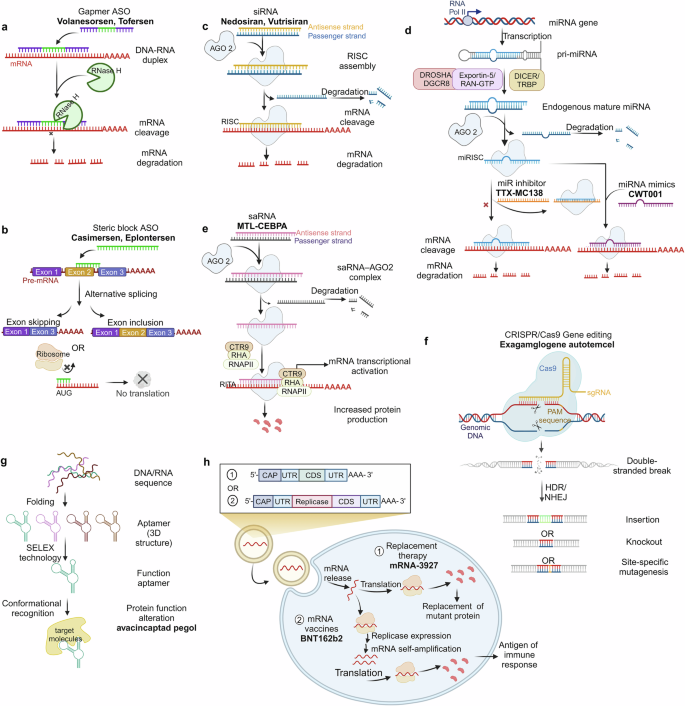 recent advances and future research directions figure 2