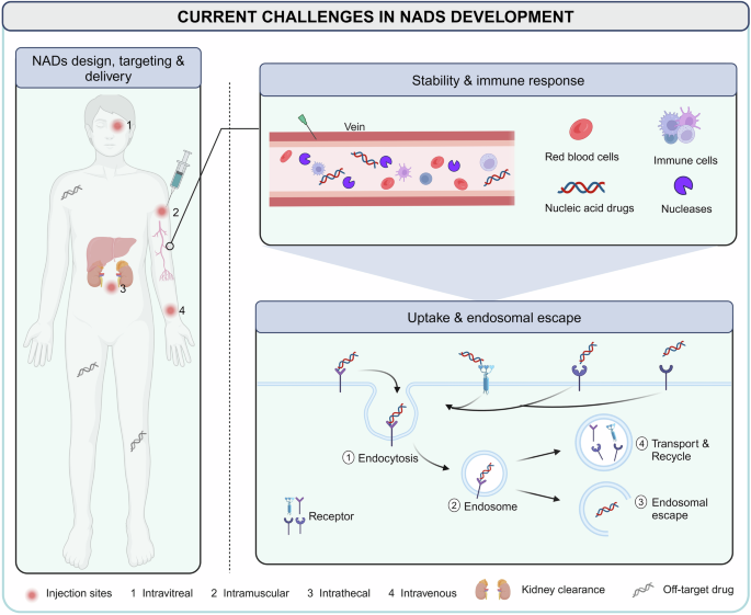 recent advances and future research directions figure 3