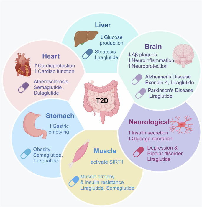Advance in peptide-based drug development: delivery platforms, therapeutics and vaccines | Signal Transduction and Targeted Therapy