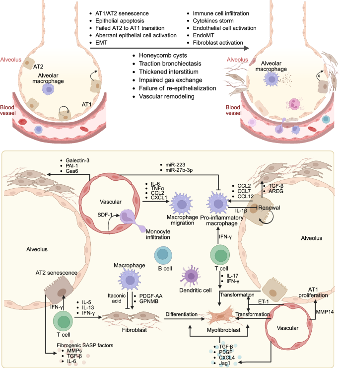 how does glutathione work how does glutathione help Benefits of Glutathione Injections