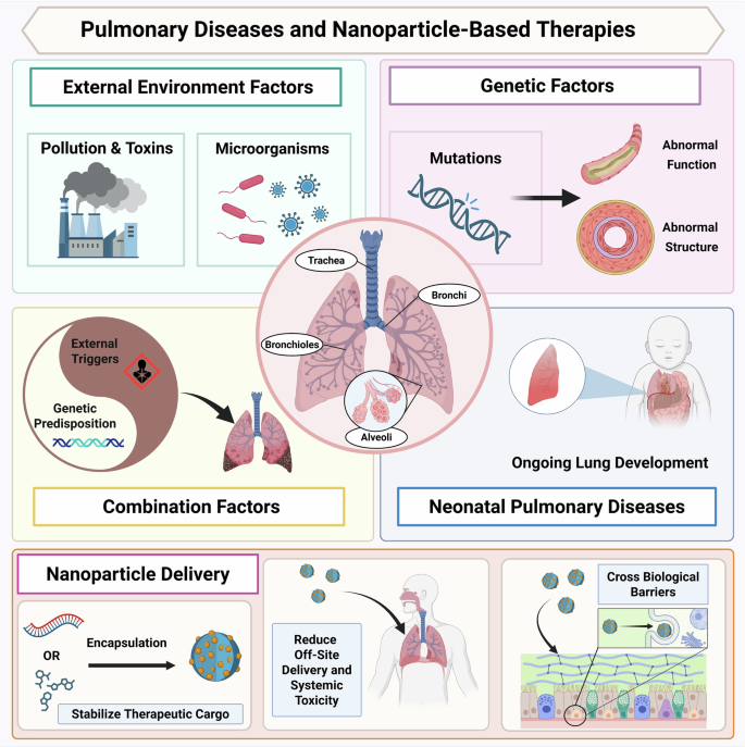mw glutathione Precision nanomedicine for pulmonary diseases: from molecular targeting to clinical translation Fake Beauty Products Are GI Support Tamaño:10 ampollas x 5 ml (50 ml)