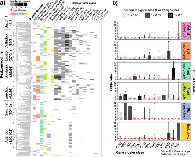 Specialized Plant Biochemistry Drives Gene Clustering In Fungi The Isme Journal