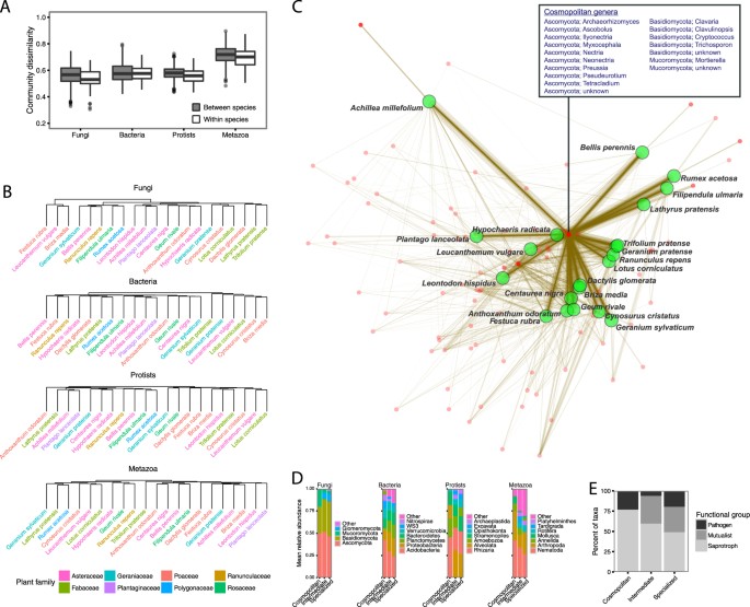 Download Predicting The Structure Of Soil Communities From Plant Community Taxonomy Phylogeny And Traits The Isme Journal