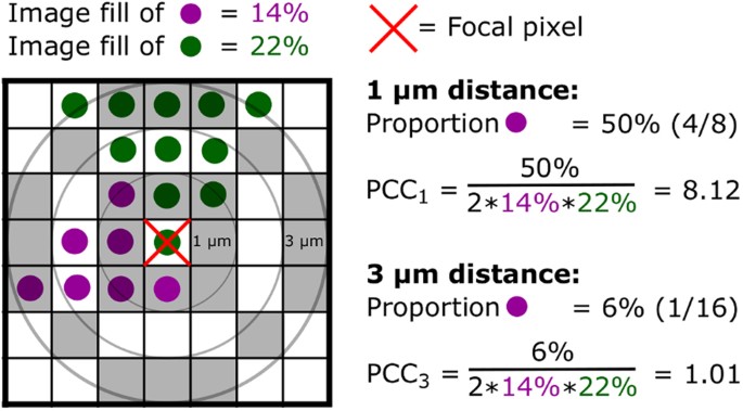 micro scale intermixing a requisite for stable and synergistic co establishment in a four species biofilm the isme journal four species biofilm