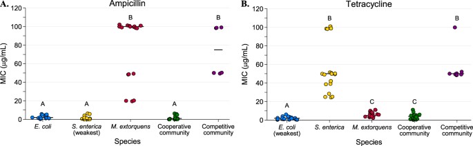 Cross Feeding Modulates Antibiotic Tolerance In Bacterial Communities The Isme Journal