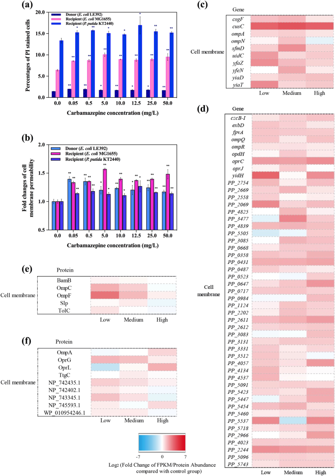 Antiepileptic Drug Carbamazepine Promotes Horizontal Transfer Of Plasmid Borne Multi Antibiotic Resistance Genes Within And Across Bacterial Genera The Isme Journal