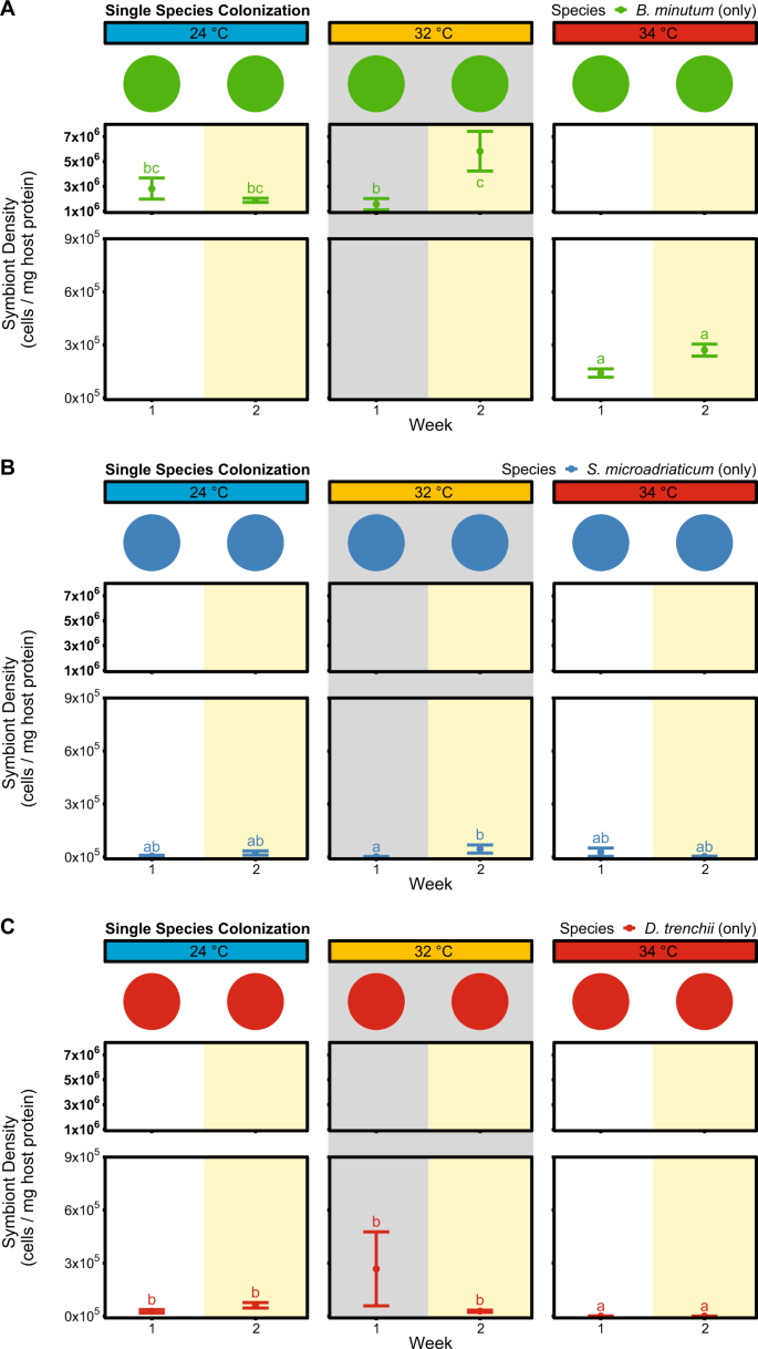 Inter Partner Specificity Limits The Acquisition Of Thermotolerant Symbionts In A Model Cnidarian Dinoflagellate Symbiosis The Isme Journal